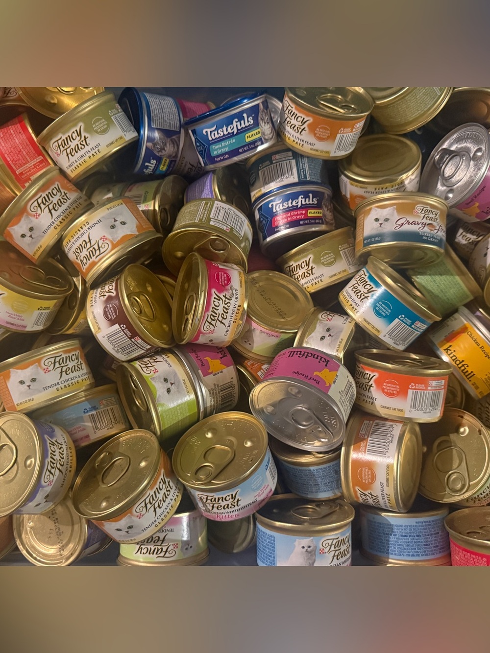 Assorted Name Brand Wet Cat Food - 26 cans